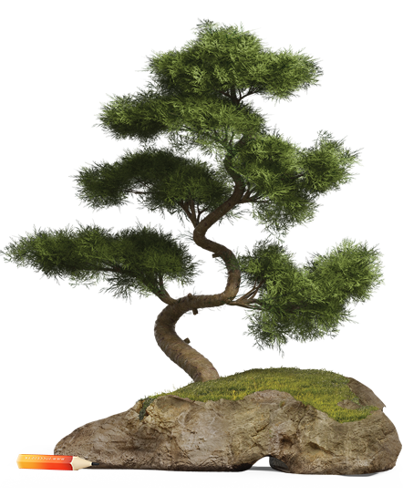 amiperera-home-site-bespoke-tree-red-new